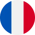 Bouton FRANCE